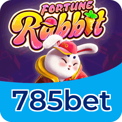 Segurança 785bet